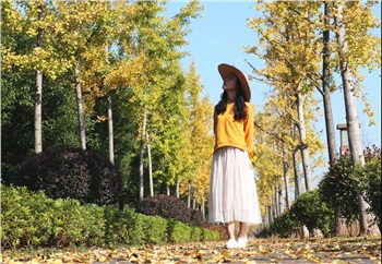 城頭山遺址公園粉黛花海一日游  