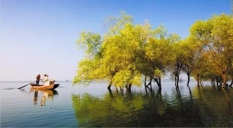 春暖花開(kāi)南洞庭踏青、云夢(mèng)七色花洲一日游  